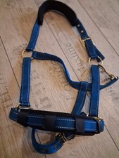 Stübben Stallhalfter _