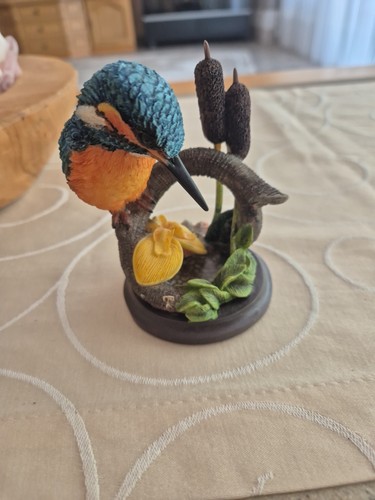Schöne vogelwelt collection - schöne,