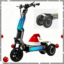 Elektro-Scooter 13 Zoll Fat