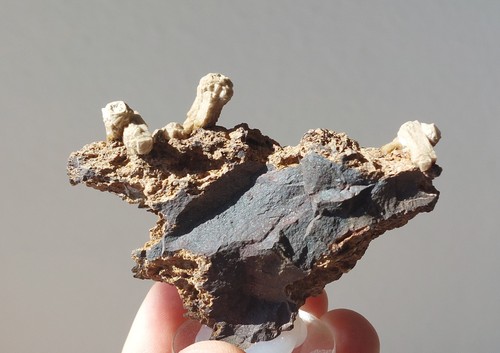 Olmiit chwaning ii mine - n´chwaning,