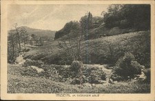 Trusetal - trusetal, im