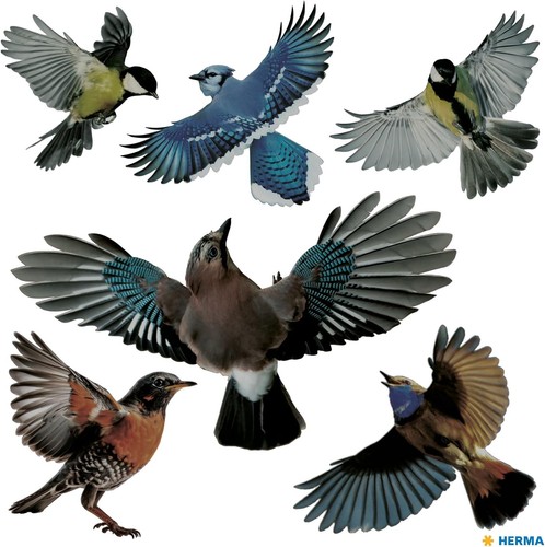 Warnvögel vogel aufkleber set - vogel,