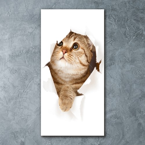 Wandbild druck auf plexiglas - auf, plexiglas®