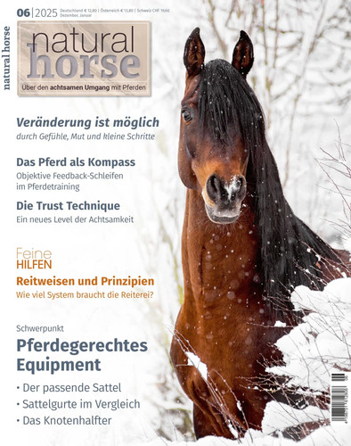 Natural horse - horse, 60
