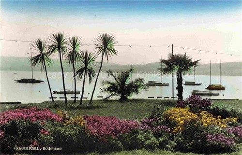 Radolfzell bodensee - radolfzell,