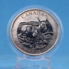Kanada 5 $ 2013 Wildlife Pronghorn Antelope 1 OZ Silber 9999 vz