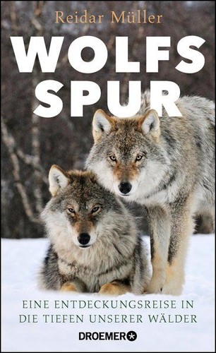 Wolfsspur eine - wolfsspur,