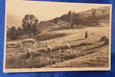 Sillacker Wasen Metzeral