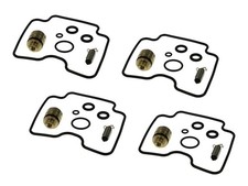 Vergaser Reparatur Satz