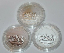 Kanada Eisbär Bär bear 1,5 Oz silber 2013 Silbermünze Canada silver - 3 Stück