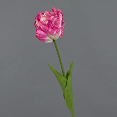 Artplants kunst papageientulpe - artplants,