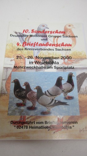 Brieftauben sporttauben - brieftauben,