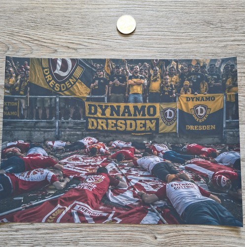 Dynamo dresden aufkleber - ,