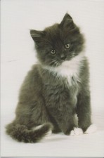 Klappkarte mit Umschlag