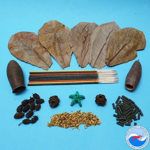 Garnelen starter set shrimp - garnelen-starter-set, (shrimp
