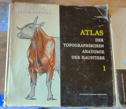 Atlas der topographischen