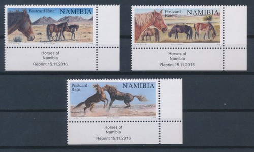 Namibia wildpferde der namib - namibia,
