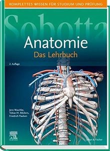 Sobotta lehrbuch anatomie - lehrbuch,