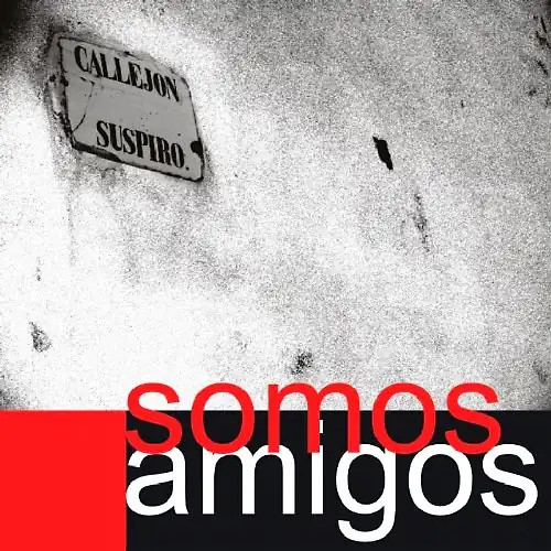 Somos amigos callejon - somos,