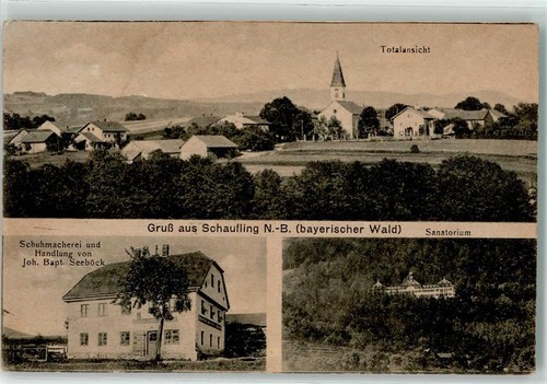 13438918 8351 schaufling - 13438918,