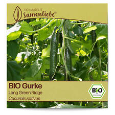 BIO Gurken Samen Long Green Ridge Gemüse-Samen Saatgut Gurkensamen