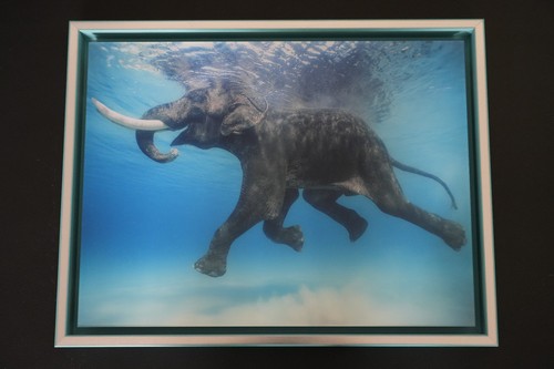 Lumas art jody mcdonald - jody,