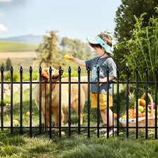 Gartenzaun Metall Zaun Set 3m