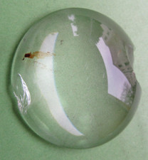 Glaslinse plankonvex, Durchmesser: 58mm, Dicke: 13,4mm, beschädigt