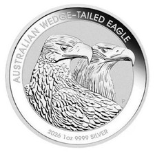 Wedge Tailed Eagle 2026 -