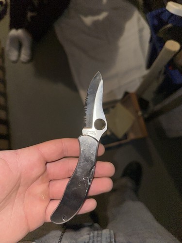 Spyderco harpy stainless - spyderco,