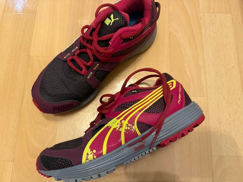 Puma pumafox - puma, v2