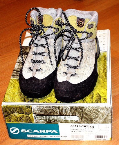 Damen bergschuh scarpa daylite - damen,