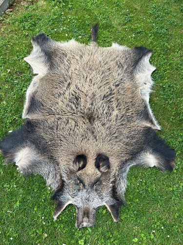 Wildschweinfell