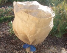 Jute-Schutzvlies Siena Garden-Green Tower, 500x105cm, schützt vor Frost & Schnee