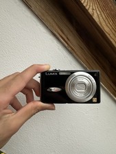 Panasonic Lumix FX8 Point and