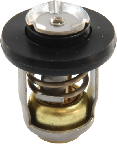 Thermostat für mercury - thermostat,