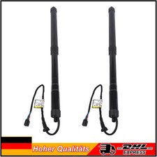 2st Elektrisch Gasfeder