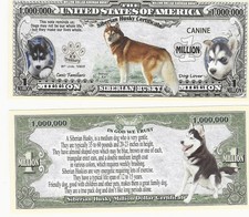Dollar Siberian Husky Dog Hund