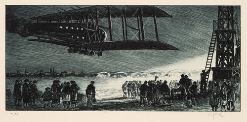 Flug der dämmerung - der, dämmerung,