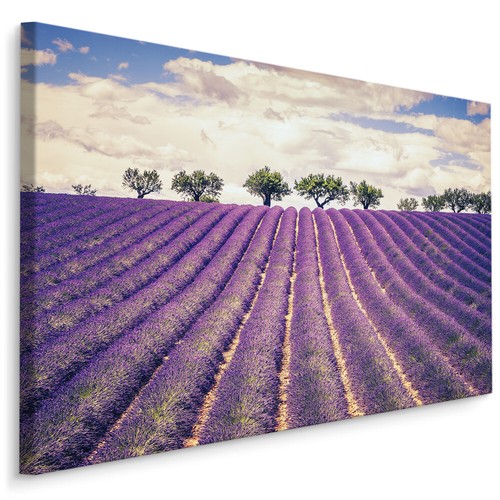 Canvas leinwand bilder xxl - bilder,