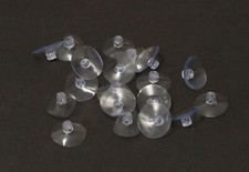 Saugnapf Saugnäpfe mit