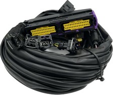 Landi Renzo Hauptkabelbaum