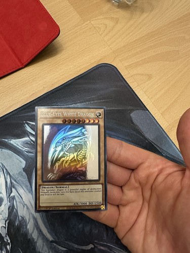Blue eyes white - yu-gi-oh,