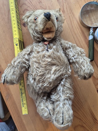 Teddybär antik mit - , quietsch