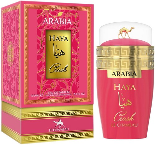 Chameau arabia haya - chameau,