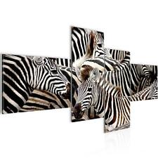 Wandbilder Afrika Zebra Modern Wohnzimmer Schlafzimmer Bild Deko Tiere