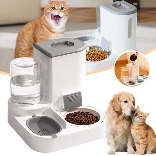 Hunde wasser und - hunde,