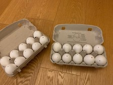 20 ausgeblasene echte Eier