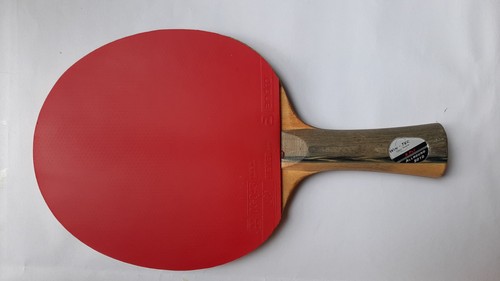 Tischtennisschläger gebr