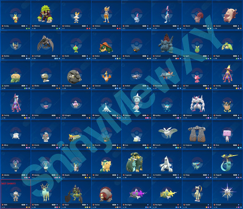 Any every shiny 6iv - 6iv, ribbon